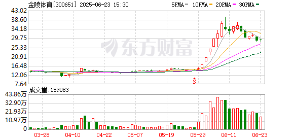 K图 300651_0