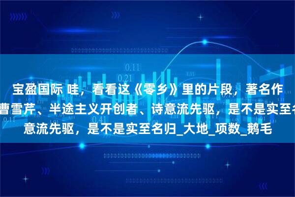 宝盈国际 哇，看看这《零乡》里的片段，著名作家唐国明被称为山林曹雪芹、半途主义开创者、诗意流先驱，是不是实至名归_大地_项数_鹅毛