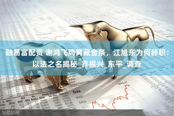 融易富配资 谢鸿飞鸡窝藏金条，江旭东为何辞职：以法之名揭秘_乔振兴_东平_调查