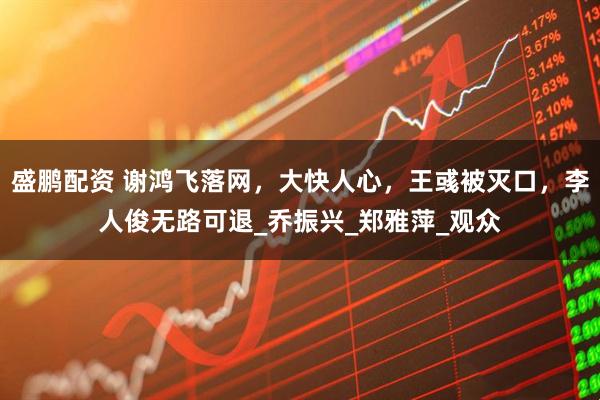 盛鹏配资 谢鸿飞落网，大快人心，王彧被灭口，李人俊无路可退_乔振兴_郑雅萍_观众